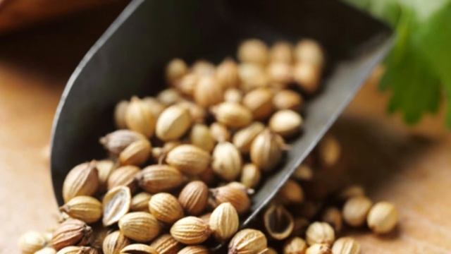 В крупной партии кориандра обнаружены семена повилики