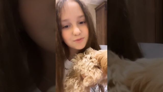 Будни Агаты Муцениеце- Встреча с Земцовой, порода собаки, посылка. смотреть онлайн