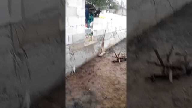 Стройка гаража, стройка и реставрация старого деревянного дома. смотреть онлайн