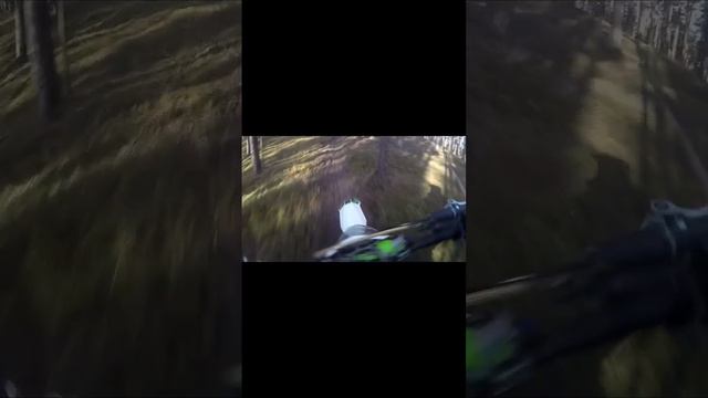 #пит#лес#вгорку смотреть онлайн