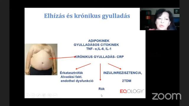 Egészségmegőrzés a sejtszíntű gyulladás megszüntetésével DR. József Erika смотреть онлайн