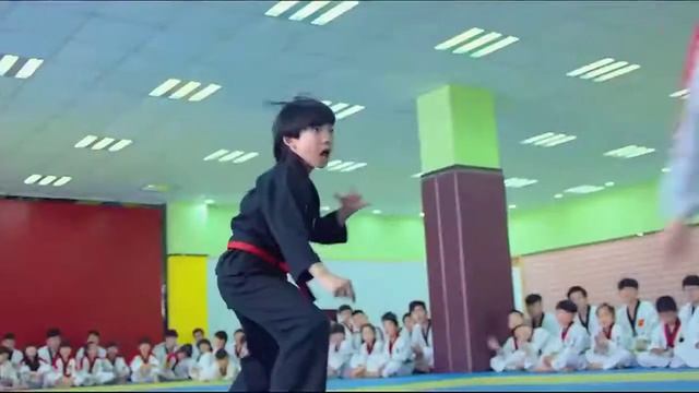 Lagu Dj terbaru 2020 tik tok ||| Versi Karate Lin QuiNan vs tiger смотреть онлайн