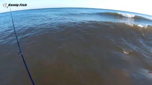 Ловля саргана на блесну / Балтийское море смотреть онлайн