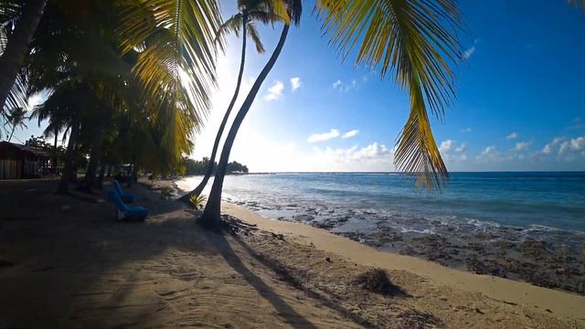 trip to Dominican Republic, travel video 4K /BAYAHIBE, DOMINICUS, SAONA/ смотреть онлайн