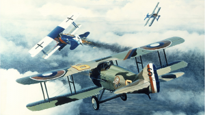 Германия - Франция сражение за господство в воздухе. Лучшие самолеты первой мировой.