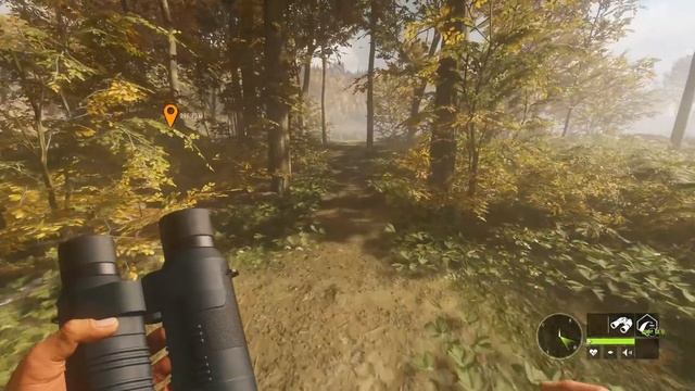 theHunter call of the wild #28 ? - Пресс в Риттерштейне - Револьвер, Винтовка - Кабан, Олень смотреть онлайн