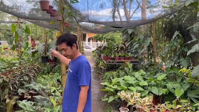 JACKPOT BAGONG 2 IN1 GARDEN APAW SA MURA!!! /EXCITING SA GANDA смотреть онлайн