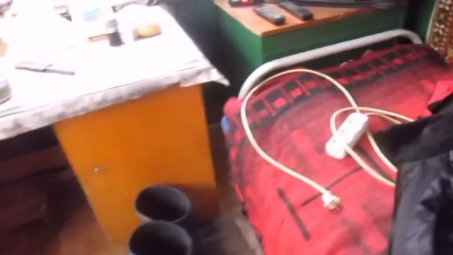Потеряли собачку Розу, очень редкой породы! смотреть онлайн