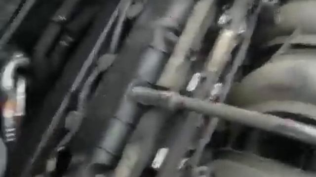 FOCUS смотреть онлайн