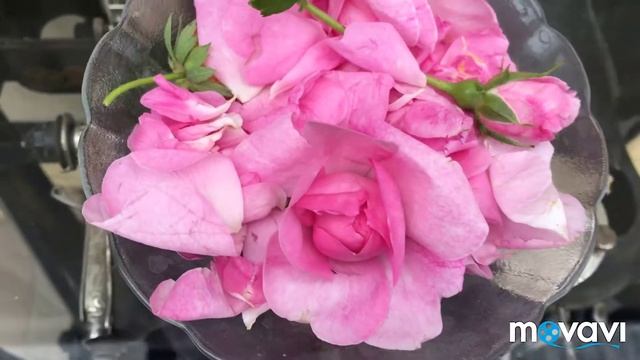 Розовый сахар смотреть онлайн