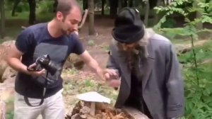 Это Мой гриб Я его ЕМ