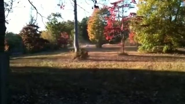 Suzuki Z400 Field Riding смотреть онлайн