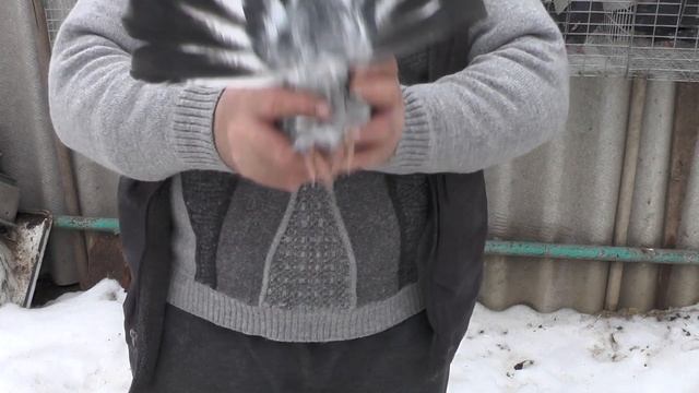 Внимание ! Ленточные ? Или их называют ( РАДУЖНЫЕ ) смотреть онлайн