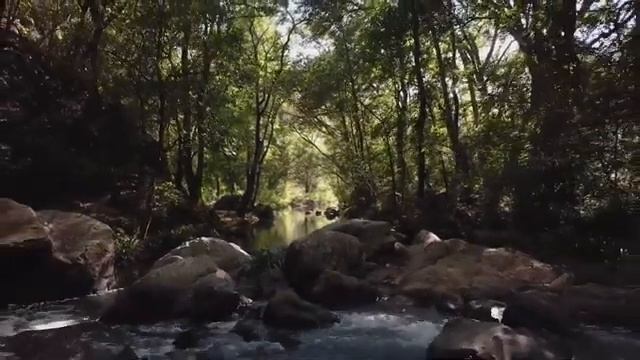 Медитация Из зависти в восхищение  Эмоциональное освобождение  Практика сорадования