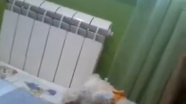 Как ПОЛУЧИТЬ КОМАНДНЫЙ БЛОК В МАЙНКРАФТЕ !!!!!? смотреть онлайн