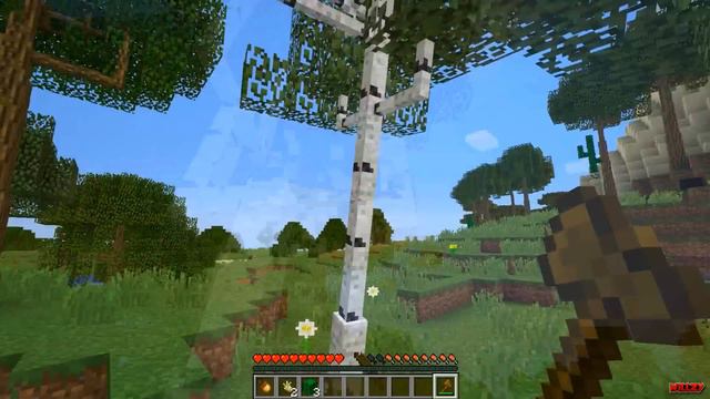 ÁRVORES REALISTAS QUE CAEM NO MINECRAFT! - Dynamic Tree Mod смотреть онлайн