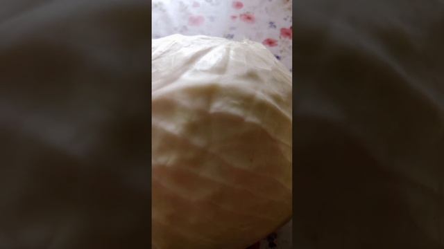 Капуста Амагер#хорошо сохранилась#shorts смотреть онлайн