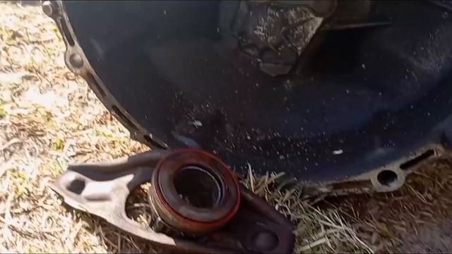 Ответ на вопрос - Веселье и улыбки