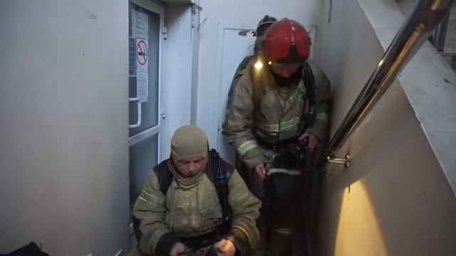 Пожар на улице Конева в Вологде смотреть онлайн