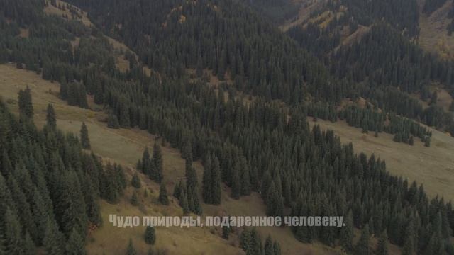Требуем полного демонтажа здания электроподстанции, построенной на плато Кок-Жайляу!