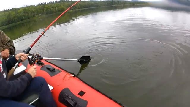 Рыбалка на озере Колок 2020г- Зачетный окунь и щука#РыбалканаКолоке#Колок смотреть онлайн