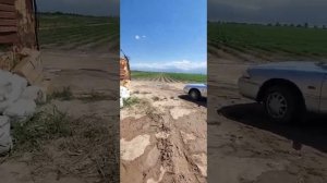 Внесение в систему капельного орошения био-препарата Триходермин