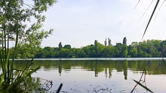 Звуки озера в парке для расслабления и медитации, успокоения смотреть онлайн