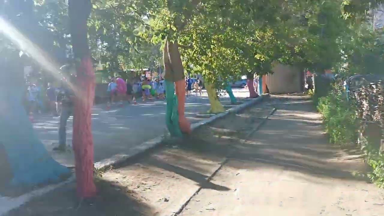 Яровое 2024. Живая музыка в кафе.