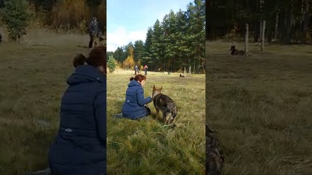 1.mp4 смотреть онлайн
