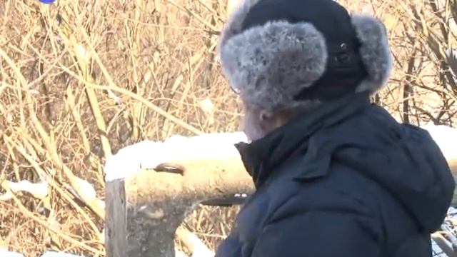 Дело в погребе смотреть онлайн