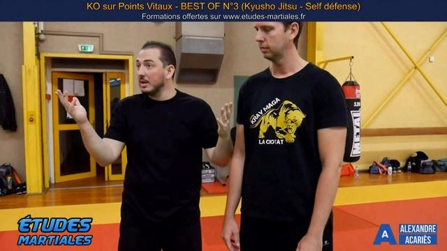 KO sur Points Vitaux- Best Of #3 (Kyusho Jitsu - Self défense) смотреть онлайн