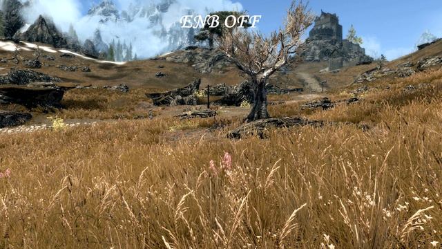 Skyrim SE - Ominous ENB смотреть онлайн