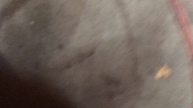 Play in transaxle output shafts of 1974 Lotus Europa смотреть онлайн