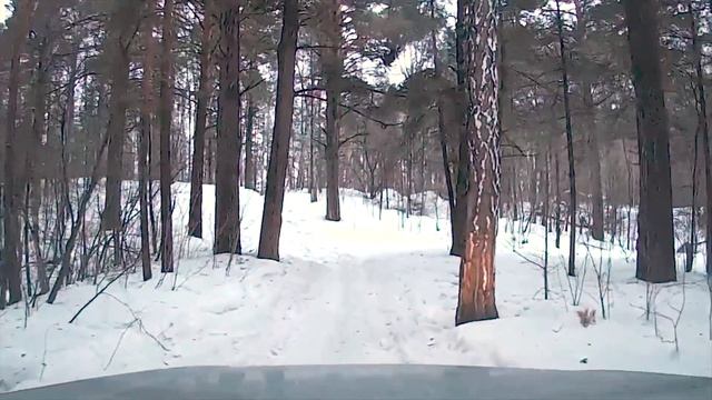 Captiva C100. Z24SED. Едем по весенней каше и проигрываем горке.