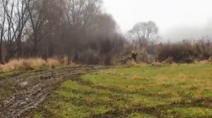 Мужик ДРИФТУЕТ на тракторе. Kubota B 6000 Небольшой и мощный японский трактор  4х4.