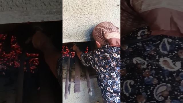 Гагаузское с. Дмитровка. Екмек фырында? смотреть онлайн