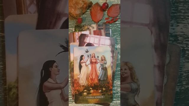 Какой главный и большой урожай соберете в этом году? #гадание #тароонлайн #отношения_и_любовь смотреть онлайн