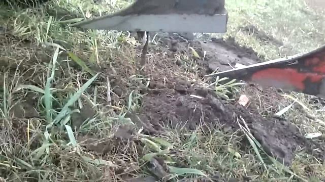 Мотоблок Мотор Сич + Плуг Мотор Сич ПН-2. Вспашка. смотреть онлайн