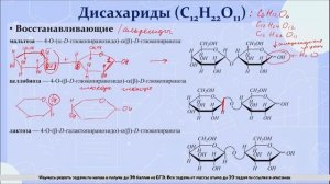 20. Углеводы. Дисахариды. Классификация, химические свойства
