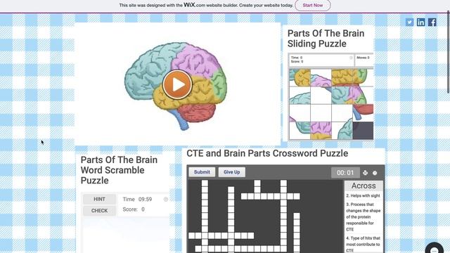 Brainsss Demo смотреть онлайн
