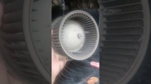 Шум из печки тайота калдина причина в мусоре, чистим вентилятор печки, Toyota caldina