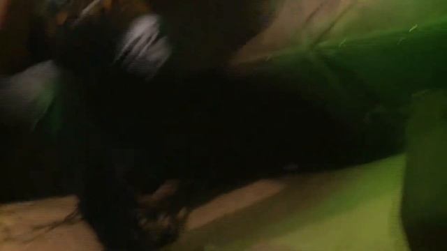 Sister Cities Jam at Gallery 29 in Kfar Saba, Israel смотреть онлайн