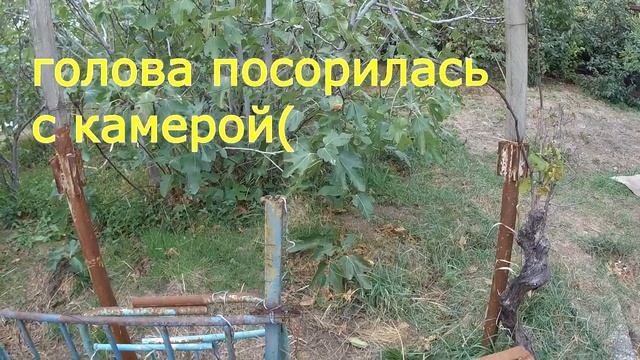 АЗЛК 21412. УЗАМ 331.10 Сударь, вы ещё не устали?