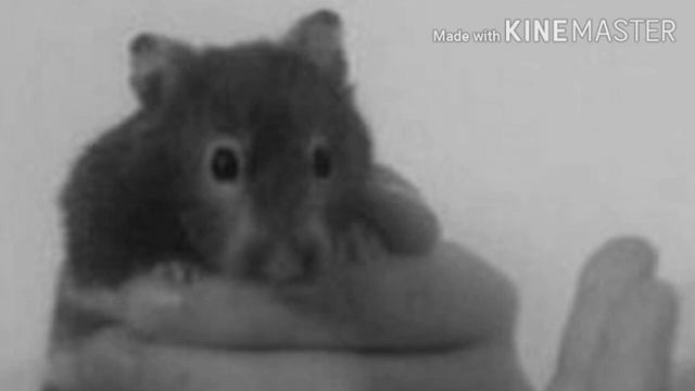 Беги по радуге, Бусинка...