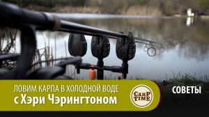 ЛОВИМ КАРПА в ХОЛОДНОЙ ВОДЕ с Хэри Чэрингтоном СОВЕТЫ