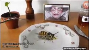 ?ВОТ ЧТО НЕЛЬЗЯ КУШАТЬ!!!!