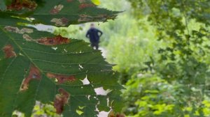 Рыбалка в Калининграде. Береговой спиннинг  (Выпуск 2)