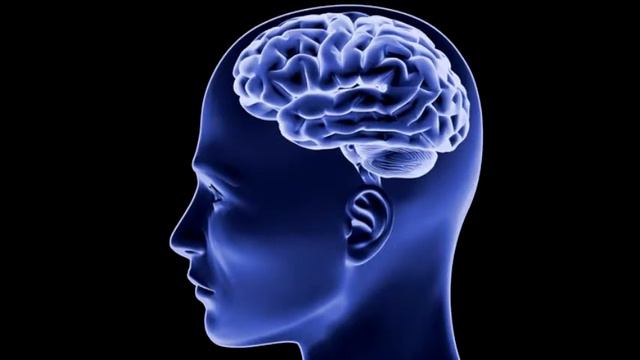 Чем мужской мозг отличается от женского. смотреть онлайн