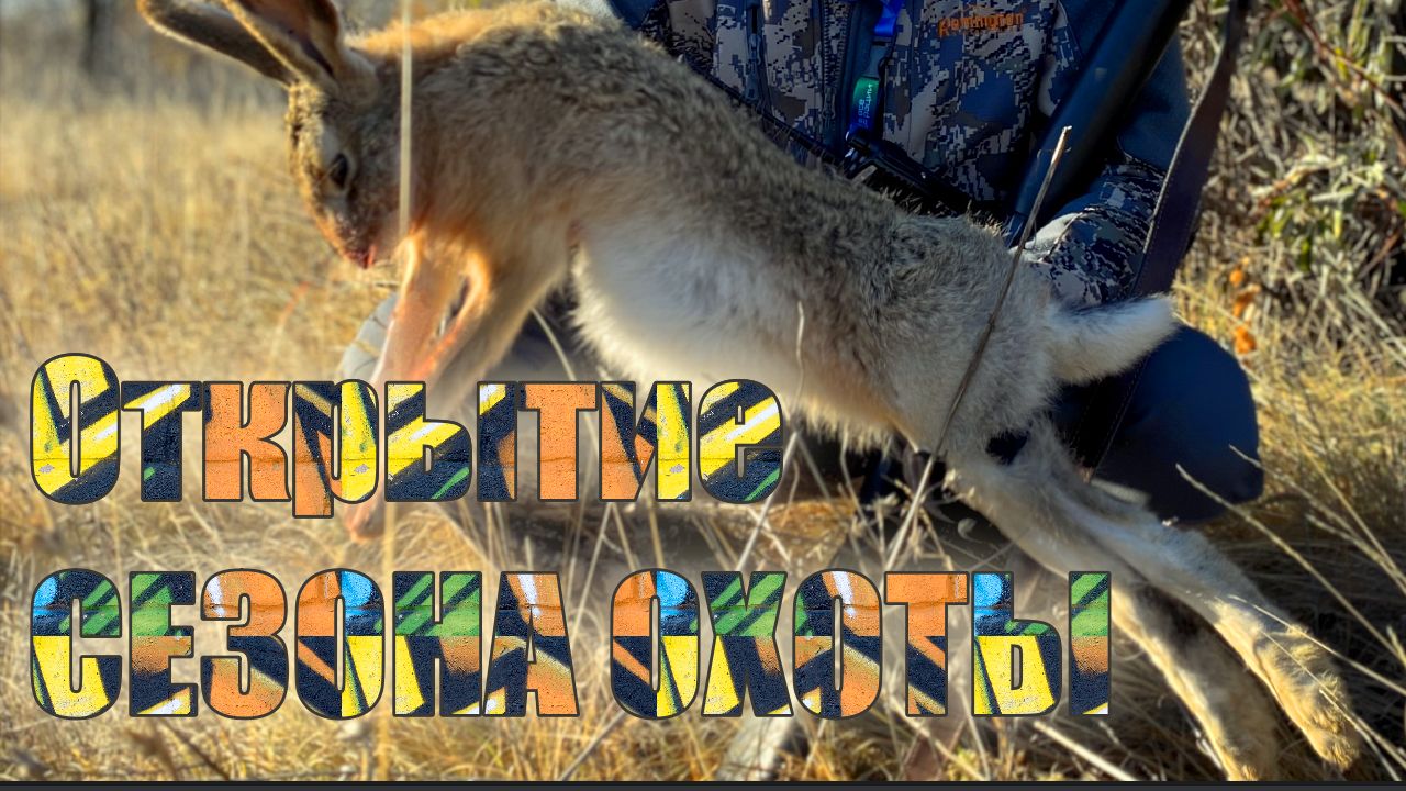 ОХОТА НА ЗАЙЦА! ОТКРЫТИЕ СЕЗОНА! смотреть онлайн