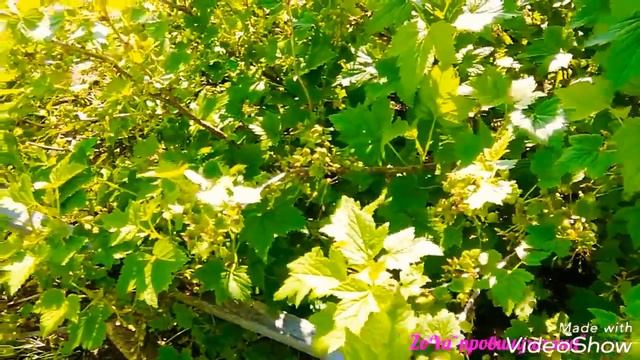 Строительные Инсайты